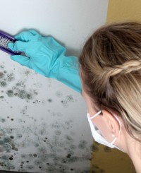 Mold Inspection Orlando FL