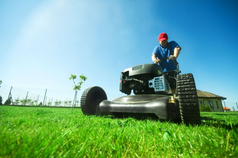 Safer Lawns Start with Flea And Tick Yard Treatment in Charlestown, IN, for Lasting Results