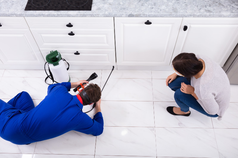The Benefits of Residential Pest Control in Newnan, GA