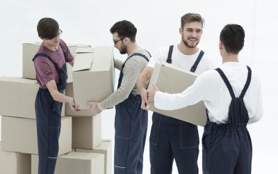 Master the Move: Essential Steps When Relocating to a New State