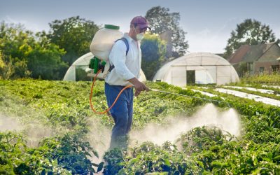 Achieve Consistent Lawn Results with an Electric Fertilizer Spreader for Effortless Application