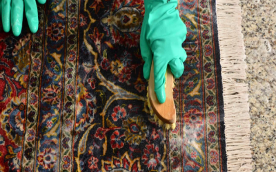 Get Your Home Sparkling with Carpet Cleaning Near Arvada, CO, for Healthier Living