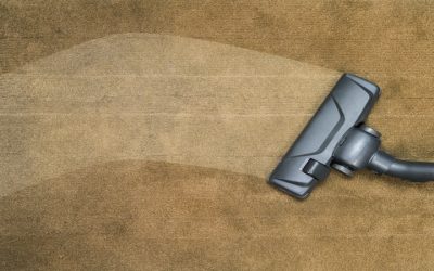 Extend Carpet Lifespan Using Residential Carpet Cleaning Services In Oregon, WI