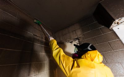Tips for Effective Smoke Damage Cleaning in Macon, GA, Homeowners Should Know