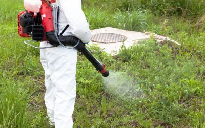 Key Benefits of Investing in Lawn Aeration Service in Gainesville, VA, for Your Home