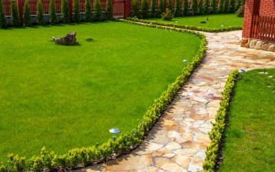 How Grass Treatment in New Albany, IN, Services Revive Patchy Lawns All Season